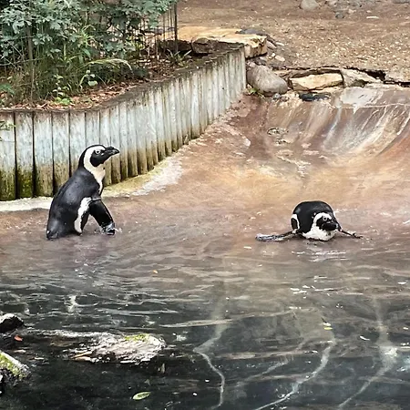 Mobile-home Irm Casita 3 Bedrooms - La Palmyre Bonne Anse Hébergement de vacances