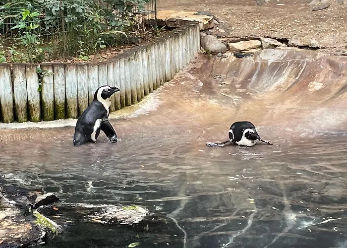 Mobile-home Irm Casita 3 Bedrooms - La Palmyre Bonne Anse Hébergement de vacances